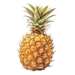 Imagen PNG para descargar